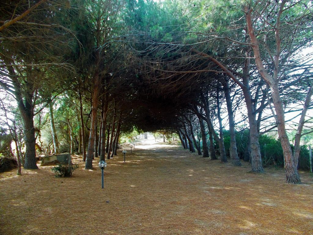 Pineta Spiaggia Grande Калазетта Экстерьер фото