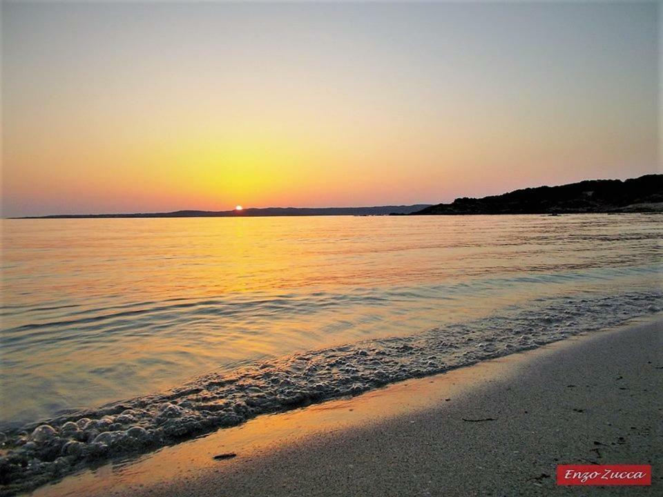 Pineta Spiaggia Grande Калазетта Экстерьер фото